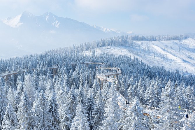 Full-Day Tour of Zakopane and Sky Walk Heart of Poronin - Riding the Gubałówka funicular