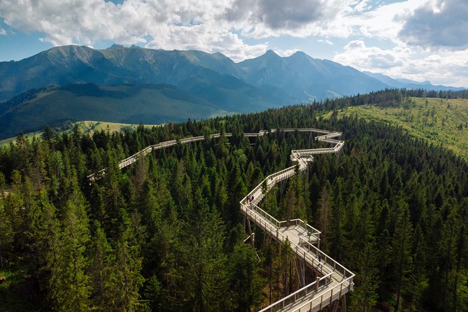 Full-Day Zakopane and Slovakia Treetop Walk From Krakow - What the driver does, and what the driver does not do