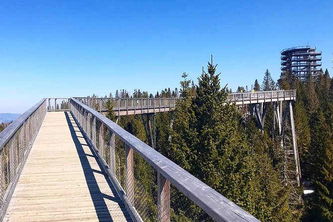 Full-Day Zakopane and Slovakia Treetop Walk From Krakow - Weather, walking, and the pace of the day