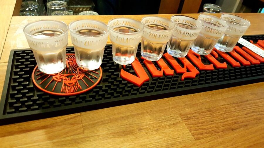 Gdansk: Daily Vodka Tasting Tour - Who will enjoy this tour most