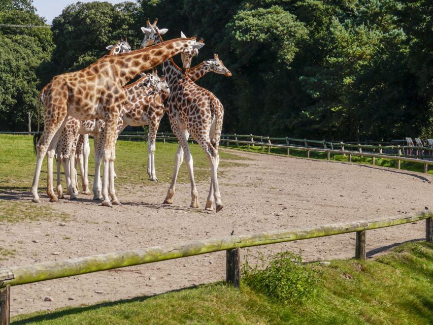 Gdansk: Oliwa Zoo with Tickets and Roundtrip Transportation - Skip-the-line entry saves time at the gate