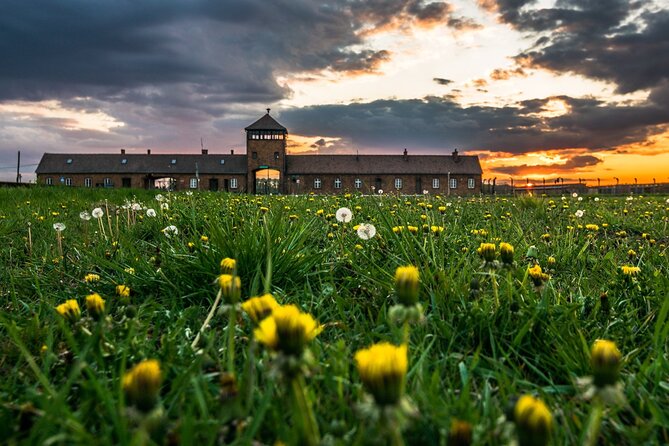 Guided Tour Krakow to Auschwitz-Birkenau with pickup options - Birkenau: scale, distance, and open air