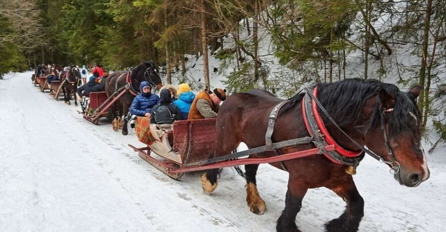 Horse Sleigh 2-3h Ride with Hot Springs or Zakopane Combos - What this Zakopane day is really trying to do
