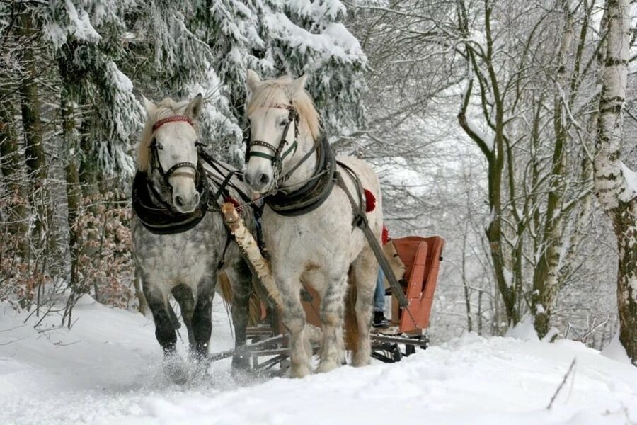 Horse Sleigh 2-3h Ride with Hot Springs or Zakopane Combos - The 2 to 3 hour horse sleigh ride