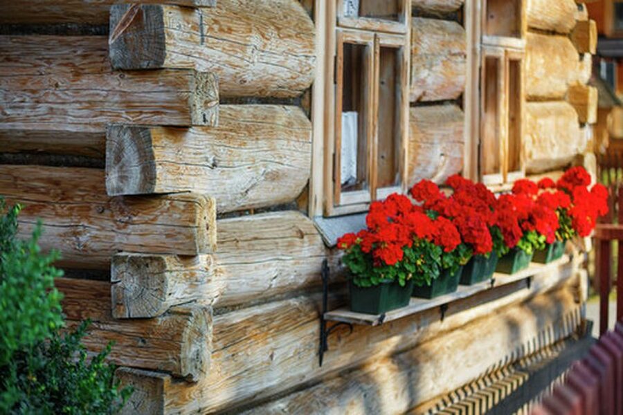 Horse Sleigh 2-3h Ride with Hot Springs or Zakopane Combos - Chocholowska Baths and the warm-water finish