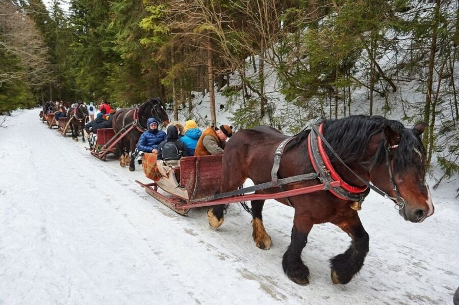 Horse Sleigh 2-3h Ride with Hot Springs or Zakopane Combos - Chocholow, wooden homes, and a taste of the highlands