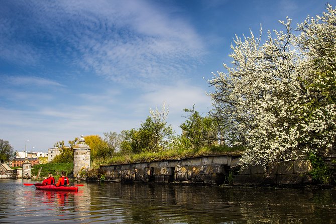 Islands of Gdansk Private Kayak Tour - What the Private Price Buys You