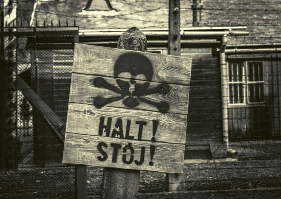 Krakow and Auschwitz Small-Group Tour from Warsaw with Lunch - Should you book this Warsaw day trip?