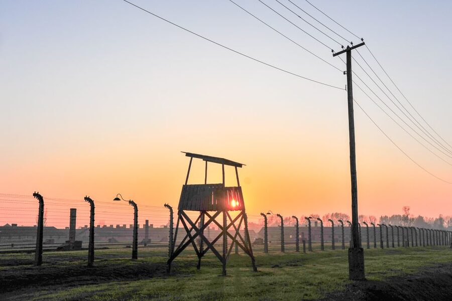 Krakow: Auschwitz-Birkenau and Salt Mine Guided Tour - Is $54 good value?
