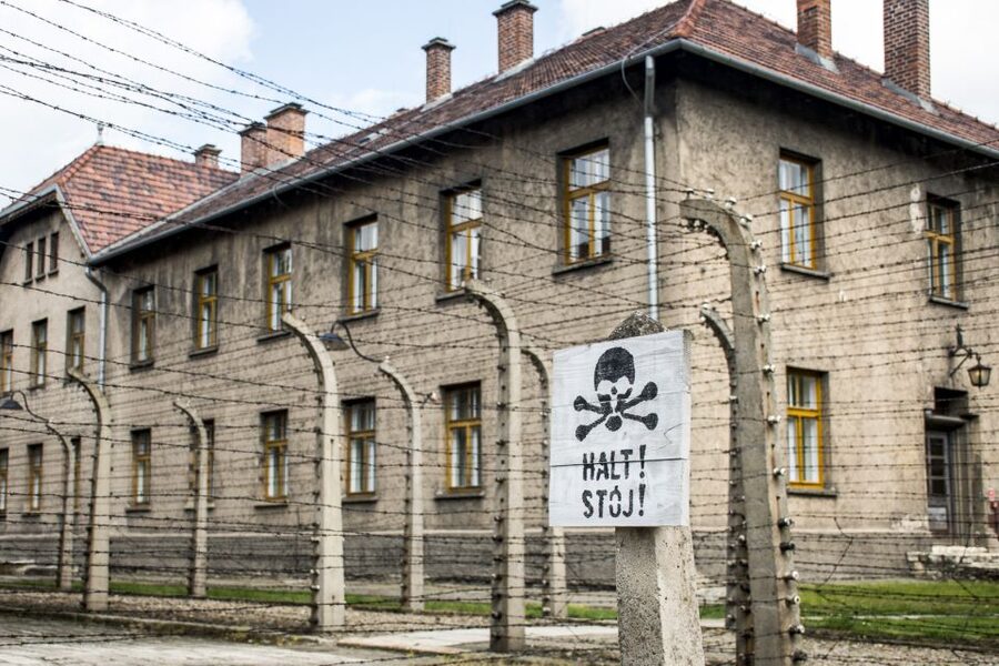 Krakow: Auschwitz-Birkenau and Salt Mine Guided Tour - The transfer and the useful free hour