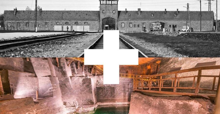 Krakow: Auschwitz-Birkenau and Salt Mine Guided Tour - How the guide system works