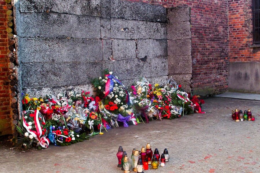 Krakow: Auschwitz-Birkenau Day Trip with Tour Leader - Who should book this Auschwitz day trip?