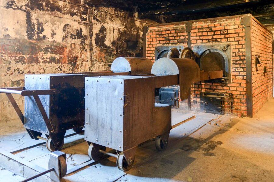 Krakow: Auschwitz-Birkenau Day Trip with Tour Leader - What the $37 price really buys you