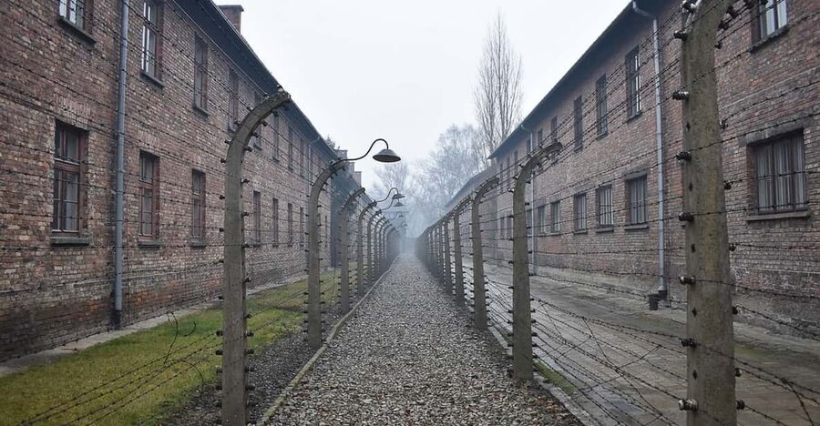 Krakow: Auschwitz-Birkenau Day Trip with Tour Leader - Practical advice before booking