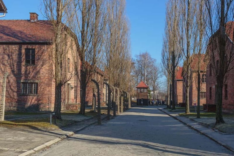 Krakow: Auschwitz-Birkenau Entry Ticket and Transfer - Key points to know before booking