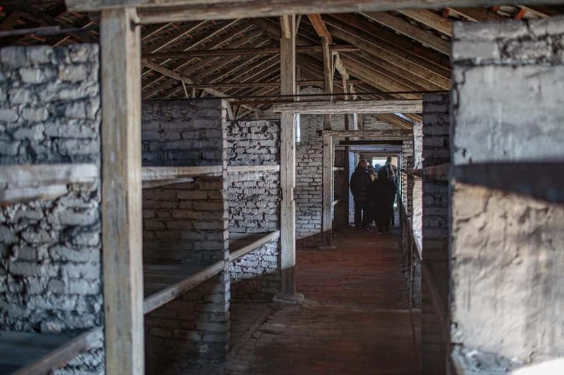 Krakow: Auschwitz-Birkenau Entry Ticket and Transfer - A guided visit that handles difficult material carefully