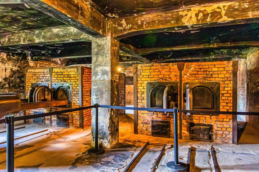Krakow: Auschwitz-Birkenau Guided Tour and Private Transport - Why the two-part visit matters