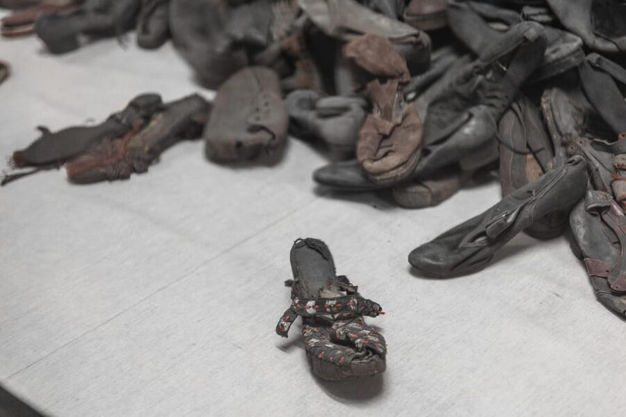Krakow: Auschwitz-Birkenau Guided Tour and Private Transport - What to bring and what to expect at entry