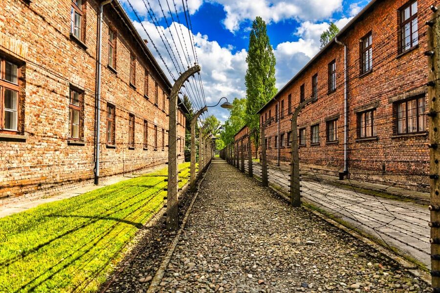 Krakow: Auschwitz-Birkenau Guided Tour and Private Transport - Should you book it?