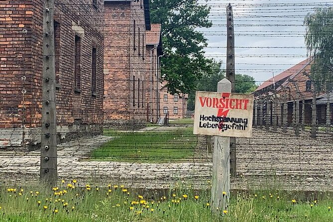 Krakow: Auschwitz-Birkenau Guided Tour & Hotel Pick Up - How the guided group affects your day