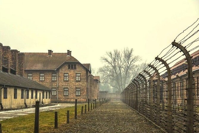Krakow: Auschwitz-Birkenau Guided Tour & Hotel Pick Up - The ride from Krakow and the pickup system