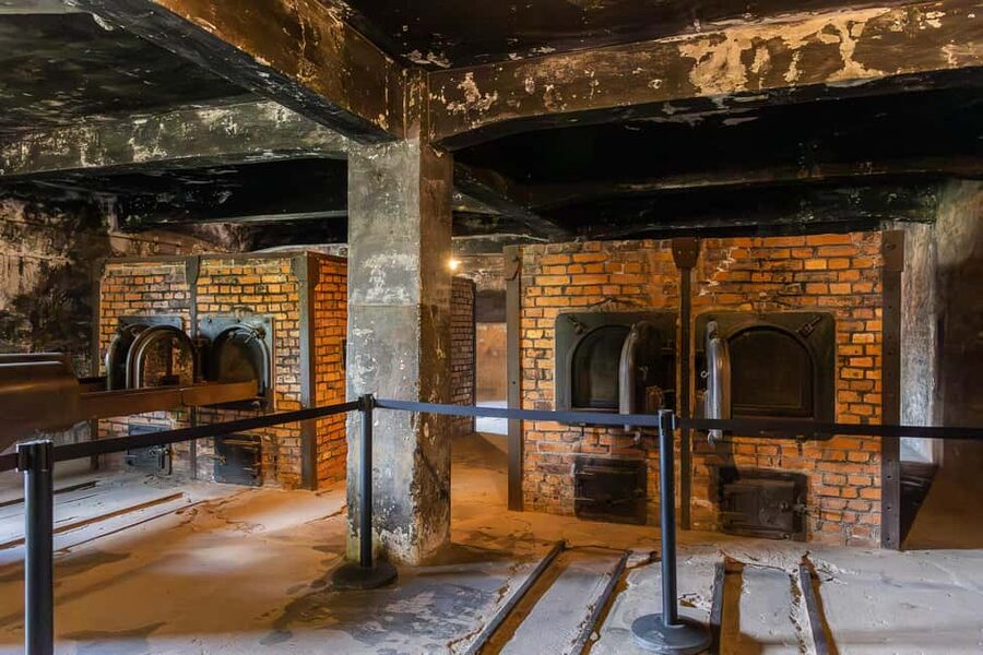 Krakow: Auschwitz-Birkenau Guided Tour with Transportation - How the guides shape the experience