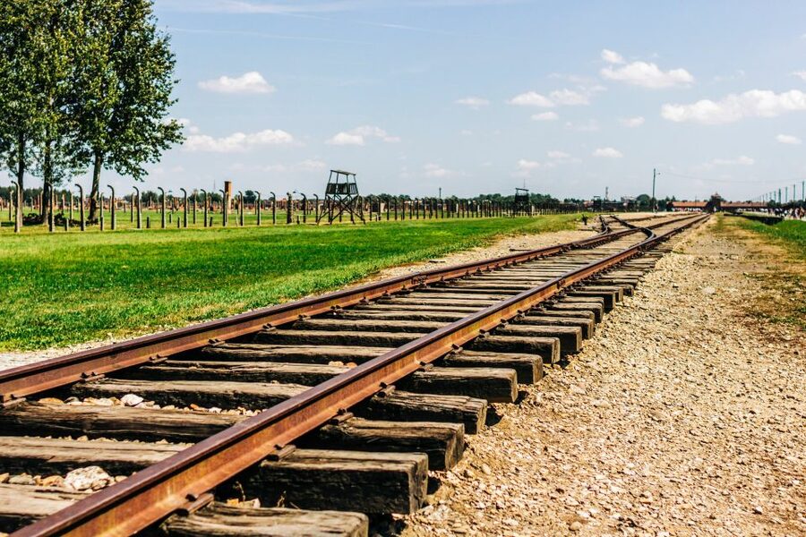 Krakow: Auschwitz-Birkenau Live Guided Tour & Hotel Pickup - From Krakow to the camp in a Mercedes vehicle