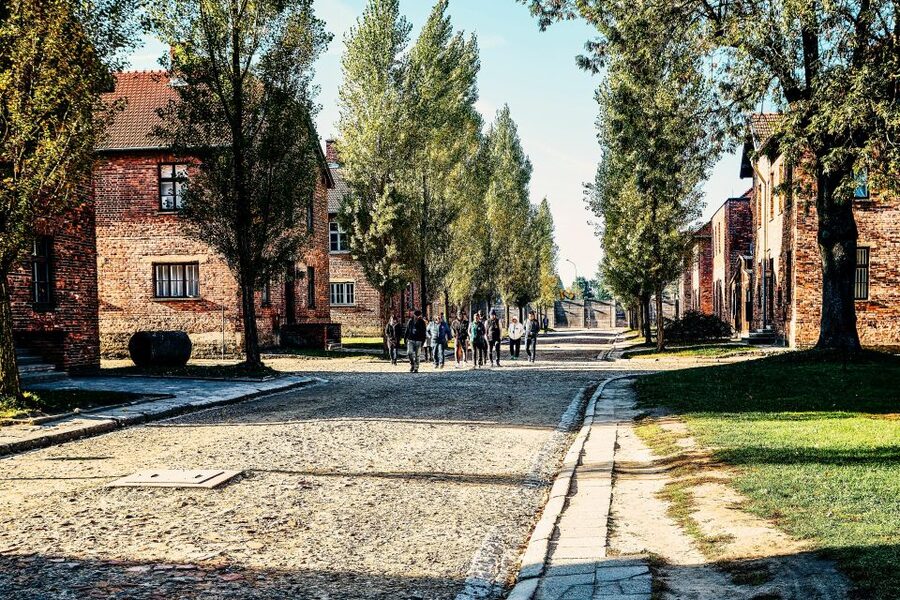 Krakow: Auschwitz-Birkenau Live Guided Tour & Hotel Pickup - How the $22 price works in practice