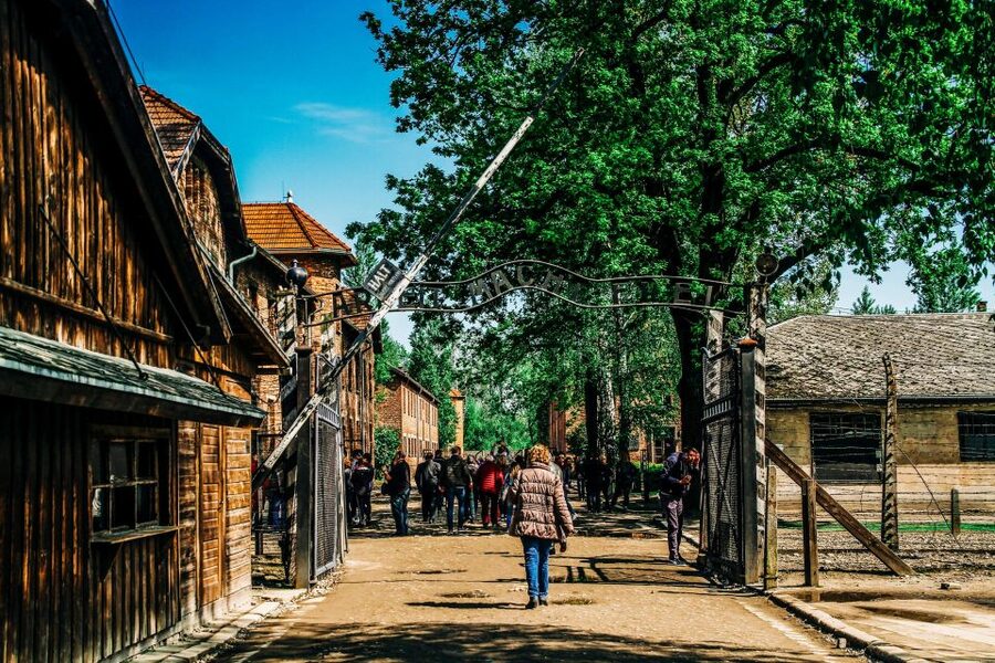 Krakow: Auschwitz-Birkenau Live Guided Tour & Hotel Pickup - What the guides add to the experience