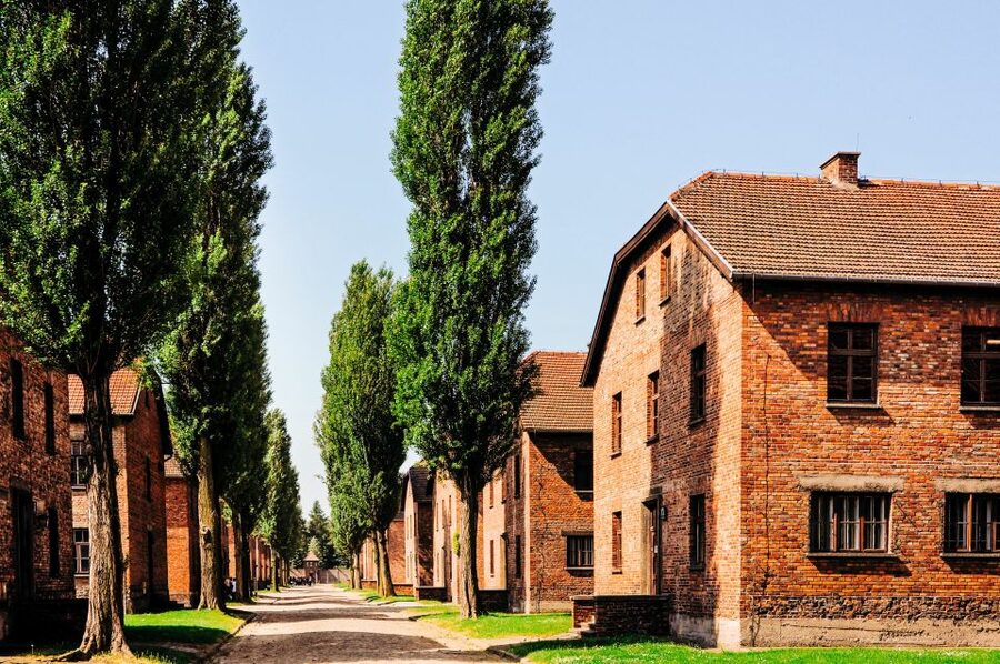 Krakow: Auschwitz-Birkenau Live Guided Tour & Hotel Pickup - Timing, group size, and the real feel of the day