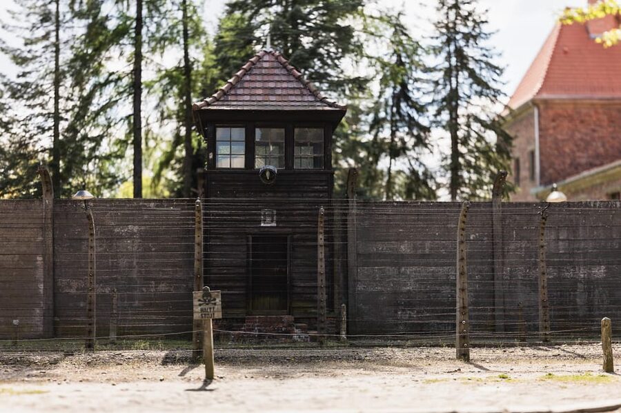 Krakow Auschwitz-Birkenau Memorial Guided Tour Meeting Point - What the guide adds to the visit