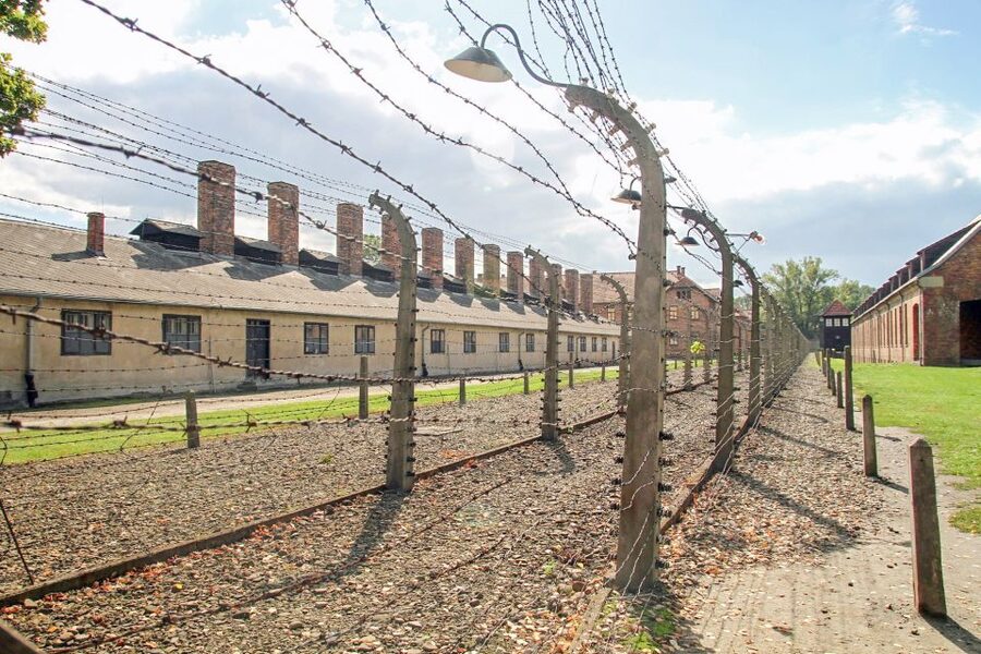 Krakow: Auschwitz Birkenau Museum Guided Tour with Pickup - Guides, headsets, and the human story