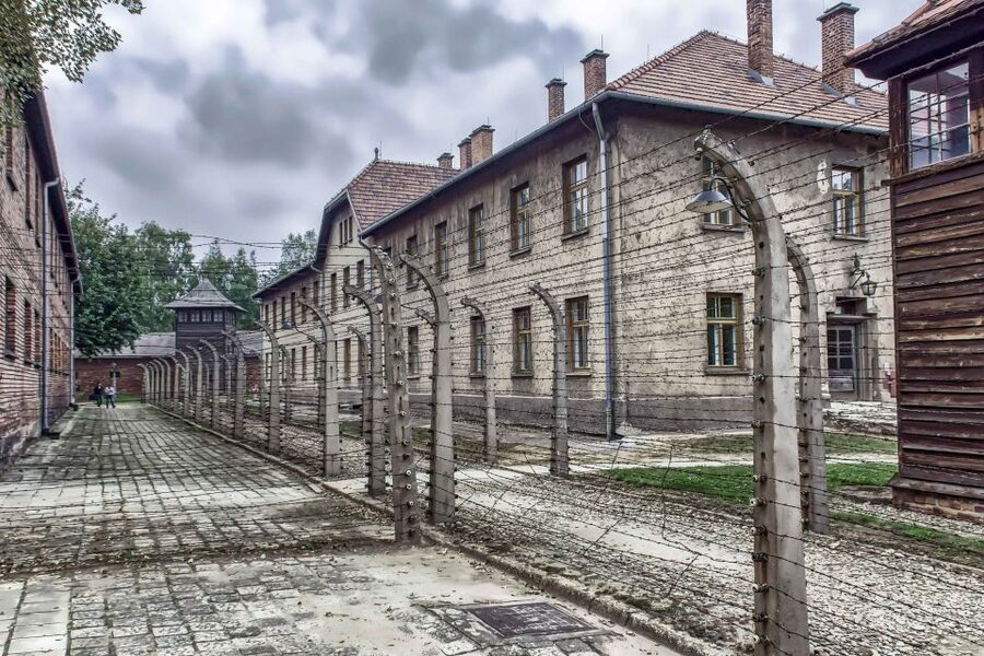 Krakow: Auschwitz Birkenau Museum Guided Tour with Pickup - Timing, queues, and the seven-hour schedule