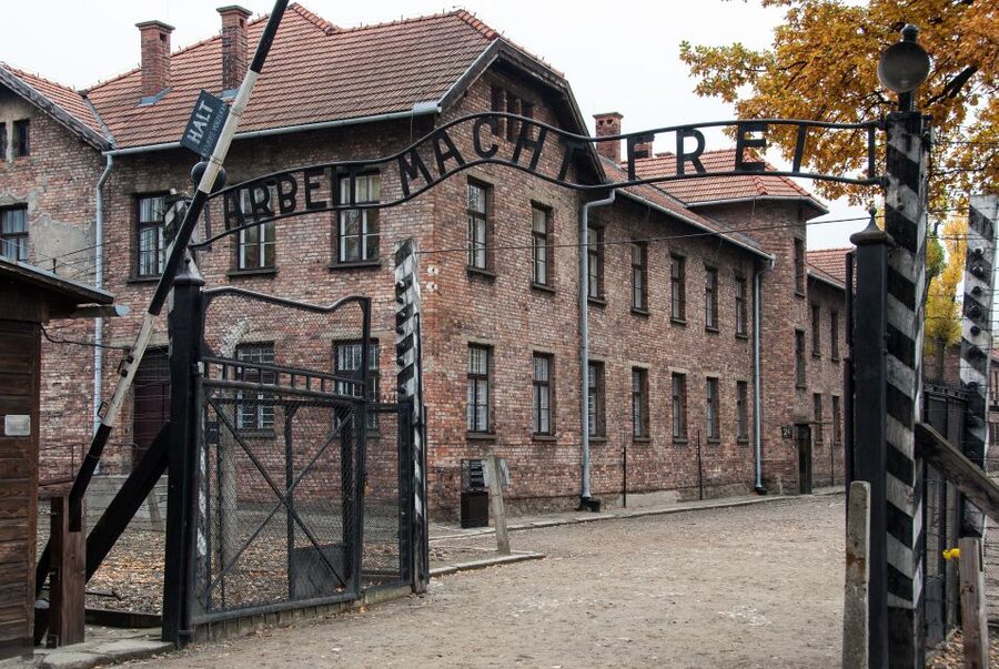 Krakow: Auschwitz Birkenau Museum Guided Tour with Pickup - What the price really gives you