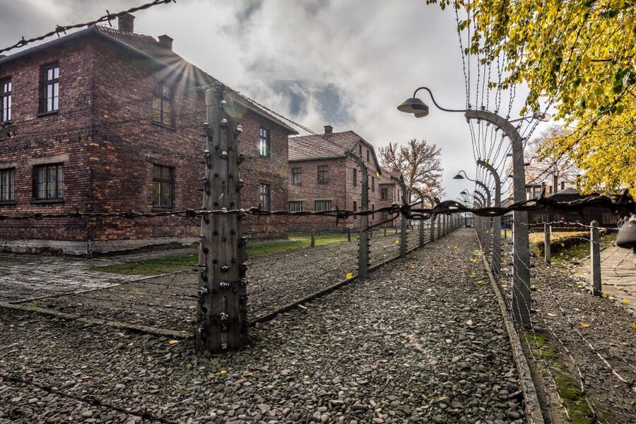 Kraków: Auschwitz-Birkenau & Salt Mine Full-Day Guided Tour - What to bring and what to leave behind