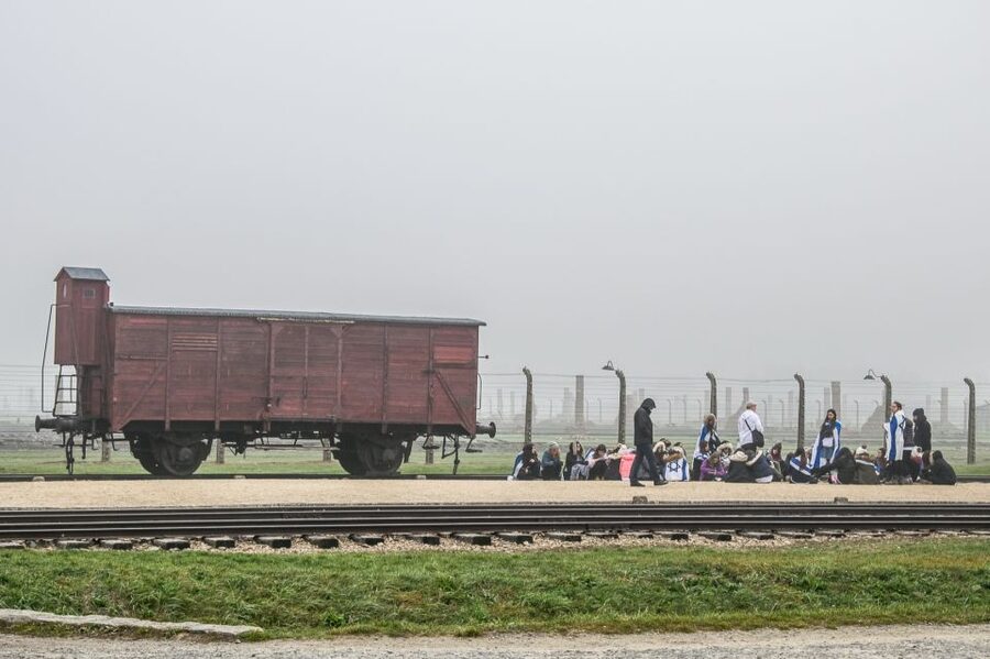 Kraków: Auschwitz-Birkenau & Salt Mine Full-Day Guided Tour - Birkenau shows the scale of the crime