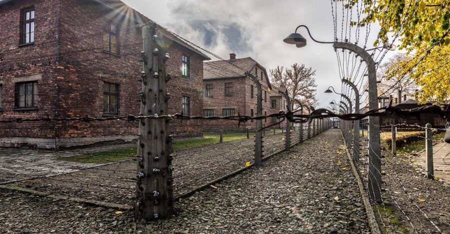 Kraków: Auschwitz-Birkenau & Salt Mine Full-Day Guided Tour - The guides make the difference