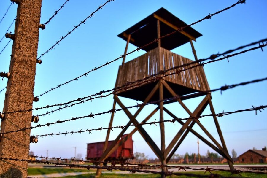 Kraków: Auschwitz-Birkenau & Salt Mine Full-Day Guided Tour - Is the transport worth it?