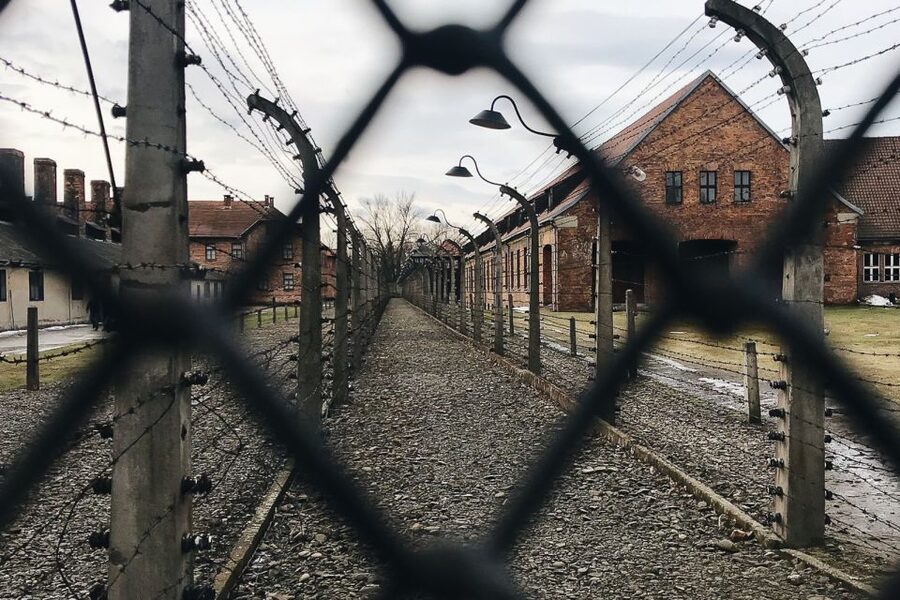 Krakow: Auschwitz-Birkenau Tour Limited to 15 Visitors - The break between Auschwitz and Birkenau