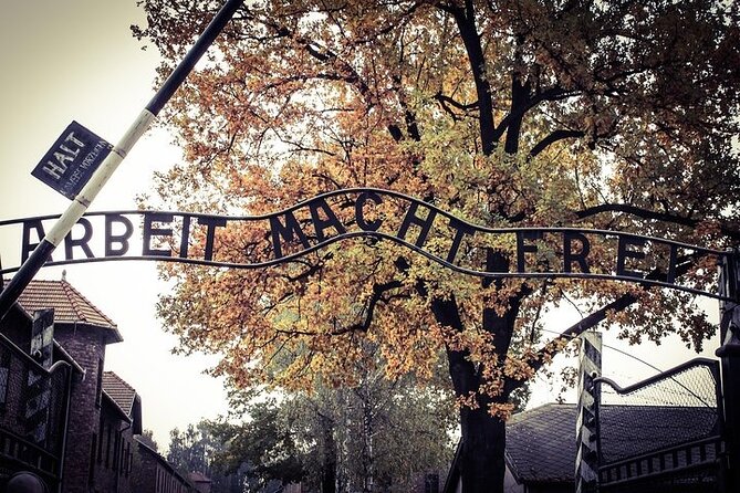 Krakow: Auschwitz-Birkenau Tour & Museum Expert Guide - Price and what you receive for about $30