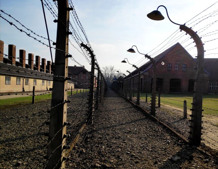 Krakow: Auschwitz-Birkenau & Wieliczka Salt Mine with Lunch - Key points at a glance