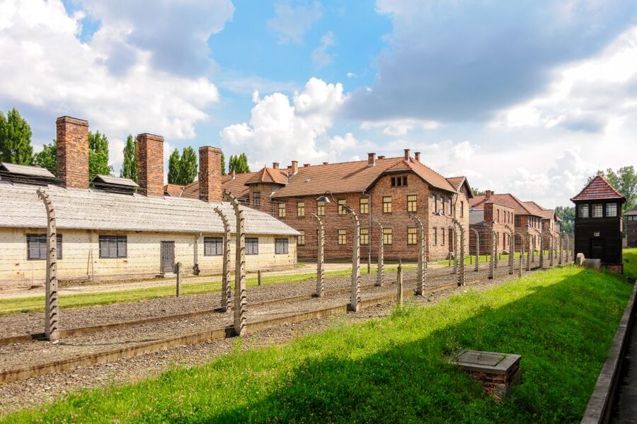 Krakow: Auschwitz Guided Tour with Pickup and Optional Lunch - Birkenau: open ground, barracks, and scale