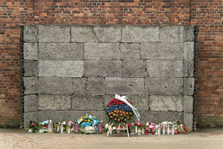 Krakow: Auschwitz Guided Tour with Pickup and Optional Lunch - Walking, clothing, and who should book