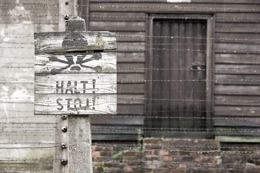 Krakow: Auschwitz & Wieliczka Salt Mine Guided Day Tour - Why the order and timing matter