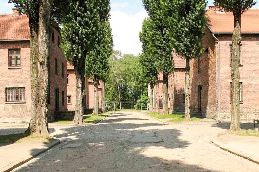 Krakow: Auschwitz & Wieliczka Salt Mine Guided Day Tour - What the $54 price really includes