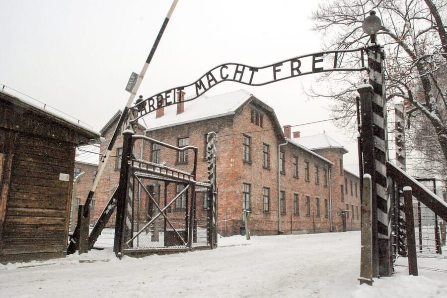 Krakow: Auschwitz & Wieliczka Salt Mine Guided Day Tour - Who should book this day trip