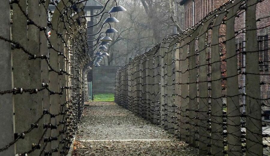 Krakow: Full-Day Auschwitz-Birkenau & Salt Mine Guided Tour - The break between the two major sights