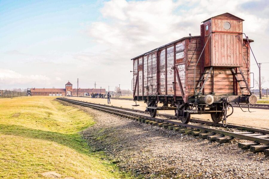 Krakow: Full-Day Auschwitz-Birkenau & Salt Mine Guided Tour - Who should choose this day trip?