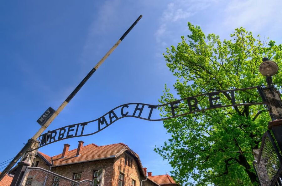 Krakow: Guided Auschwitz Birkenau Tour - Who should book this experience?