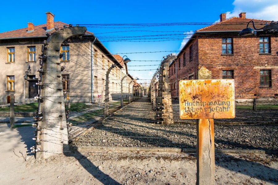 Krakow: Guided Auschwitz Birkenau Tour - Birkenau: scale, barracks, and the railway ramp